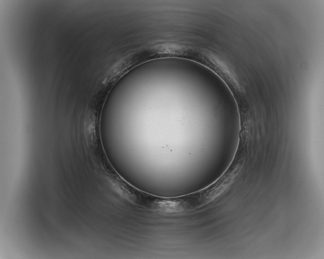 X0000116640265200912141241