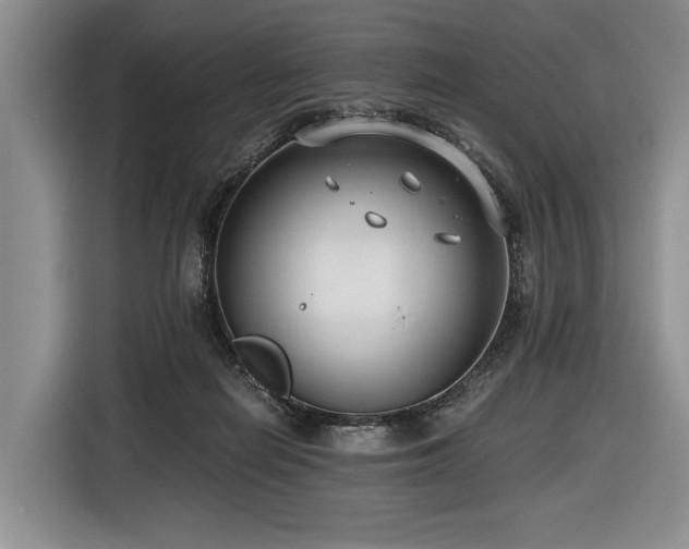 X0000116640266200912141241