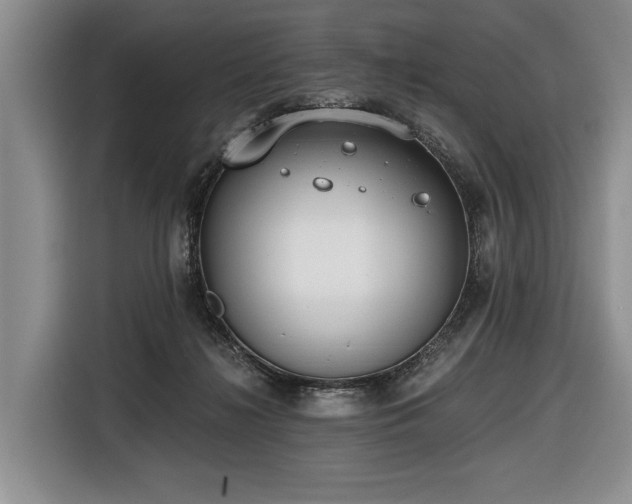 X0000116640268200912141241