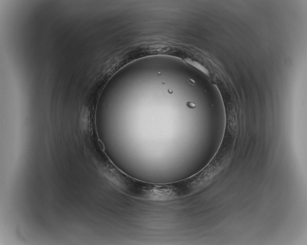 X0000116640270200912141241