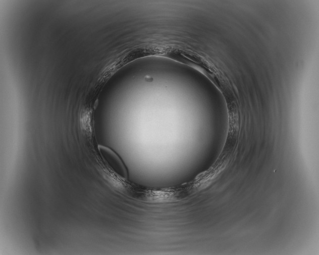 X0000116640286200912141241