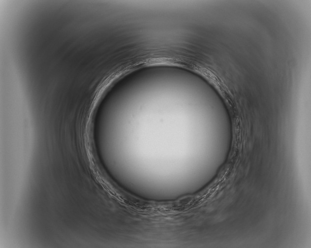 X0000116640289200912141241