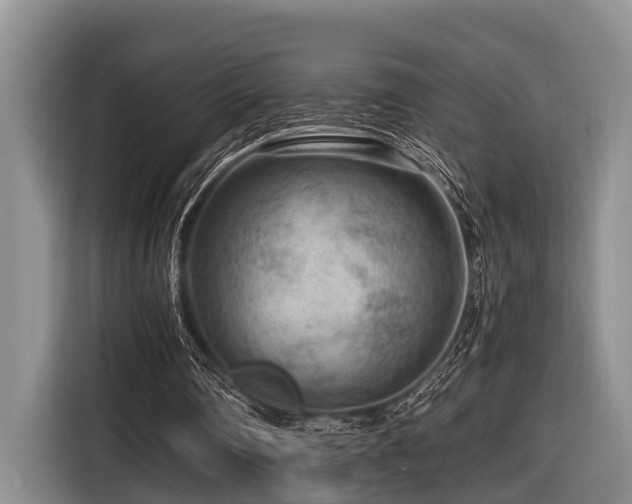 X0000116640290200912141241