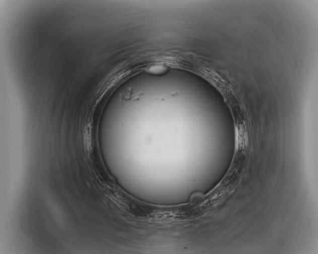 X0000116640291200912141241