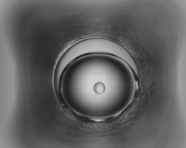 X0000116640292200912141241