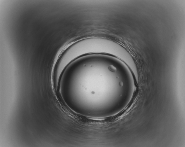 X0000116640294200912141241