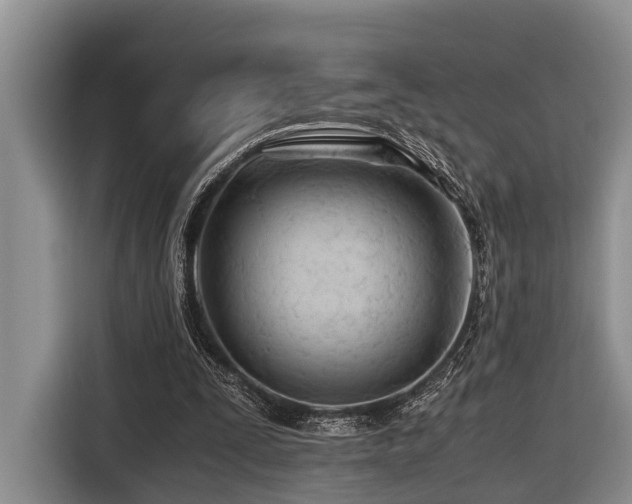 X0000116640295200912141241