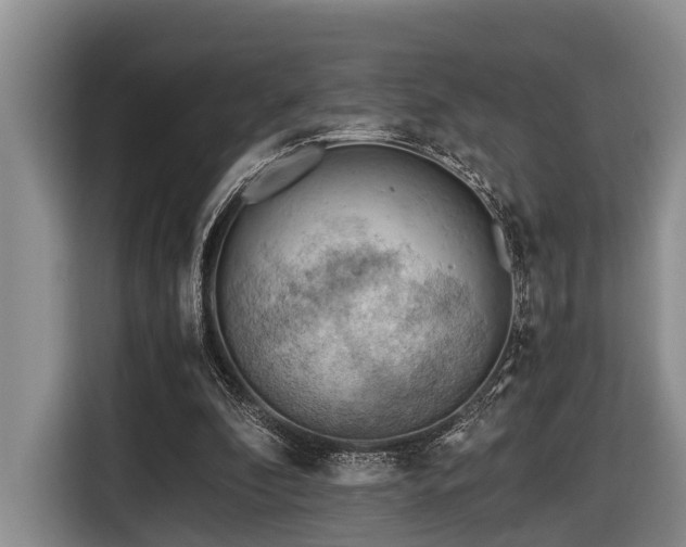 X0000116640296200912141241