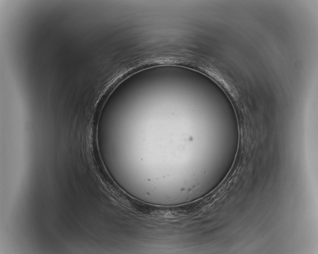 X0000116640297200912141241