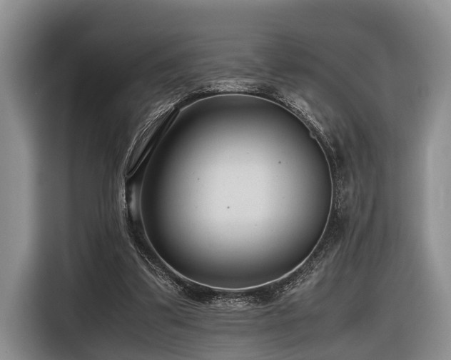 X0000116640299200912141241