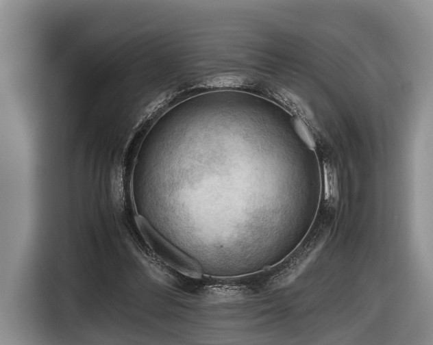 X0000116640300200912141241