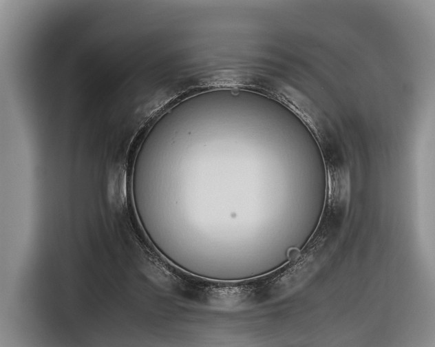 X0000116640301200912141241