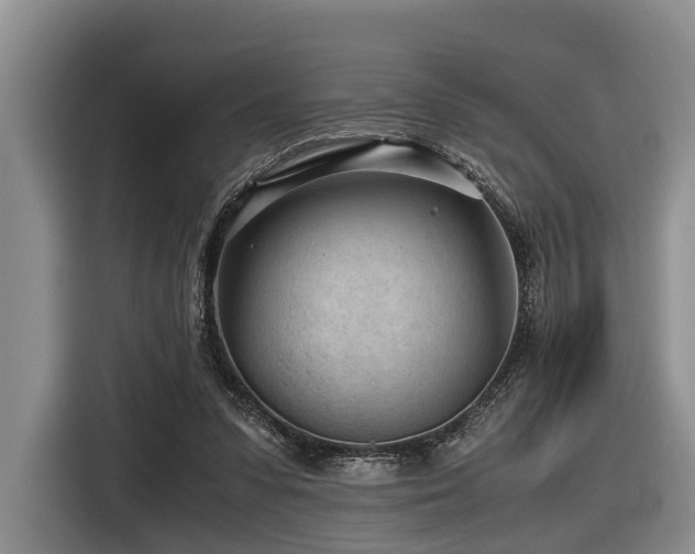 X0000116640303200912141241