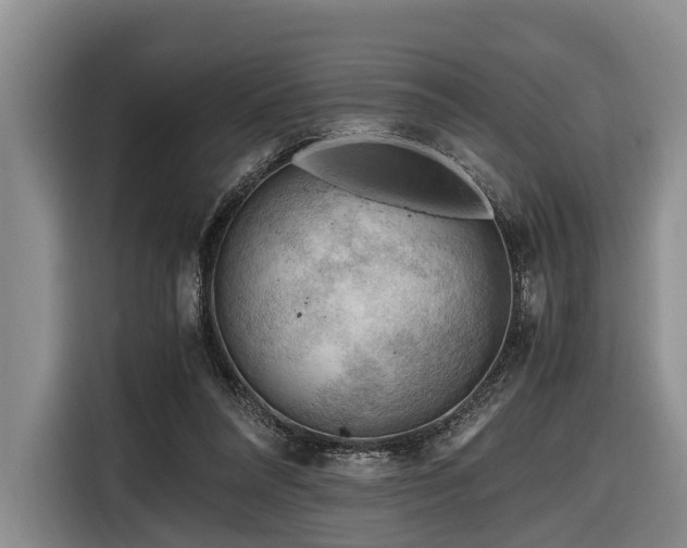 X0000116640304200912141241