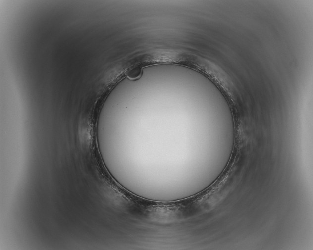 X0000116640305200912141241