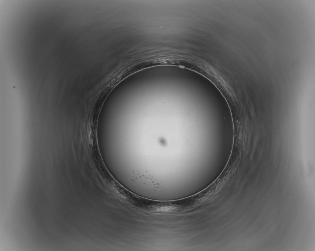 X0000116640313200912141240