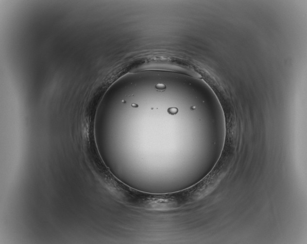 X0000116640315200912141240