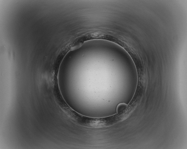 X0000116640319200912141240