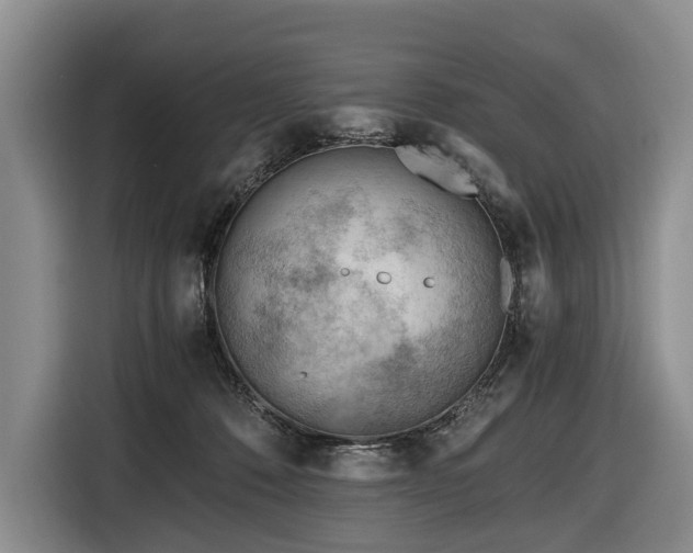 X0000116640320200912141240