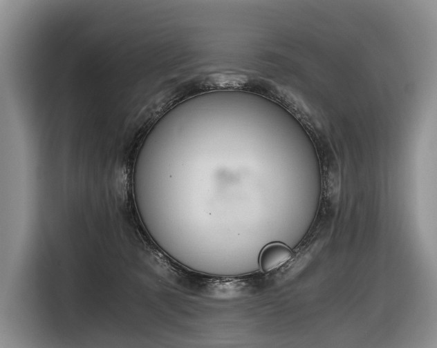 X0000116640321200912141240