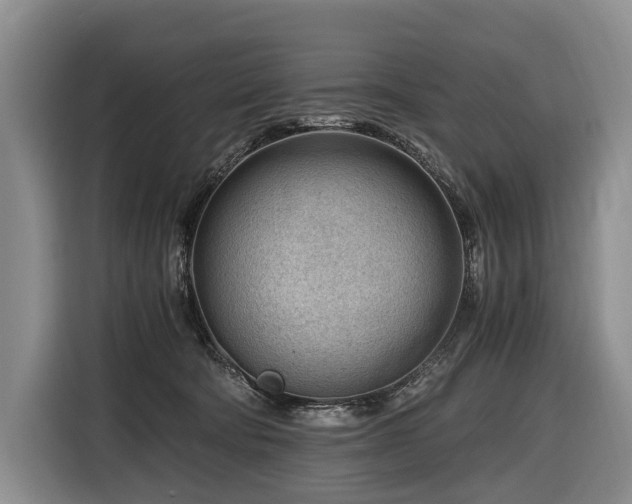 X0000116640322200912141240