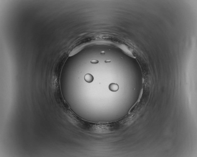 X0000116640327200912141240