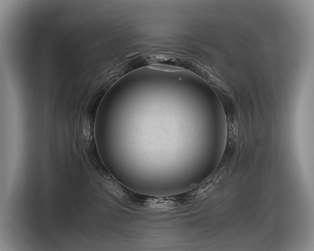 X0000116640331200912141240