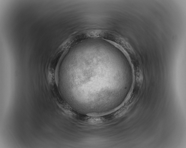 X0000116640332200912141240