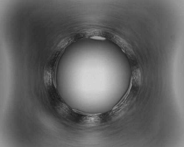 X0000116640333200912141240