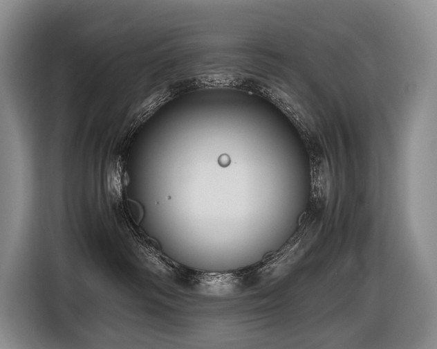 X0000116640334200912141240