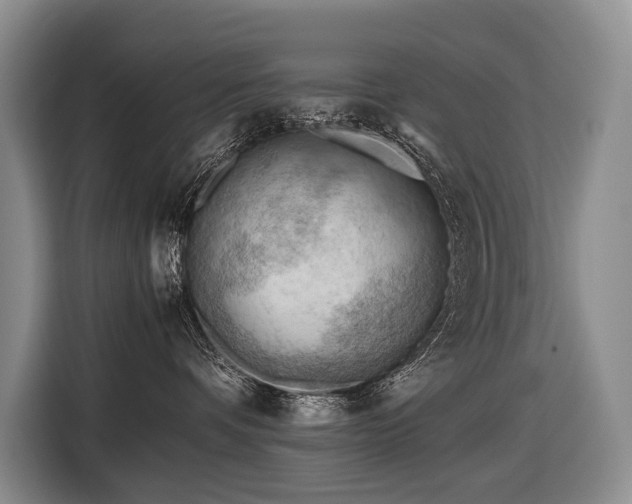 X0000116640336200912141240