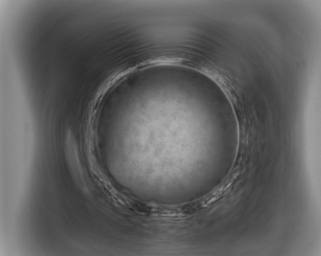 X0000116640337200912141240