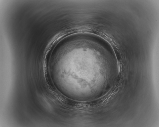 X0000116640339200912141240