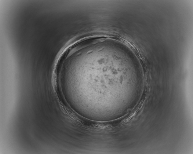 X0000116640343200912141240