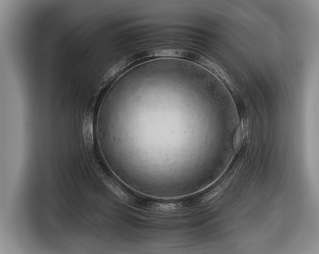 X0000116640349200912141240