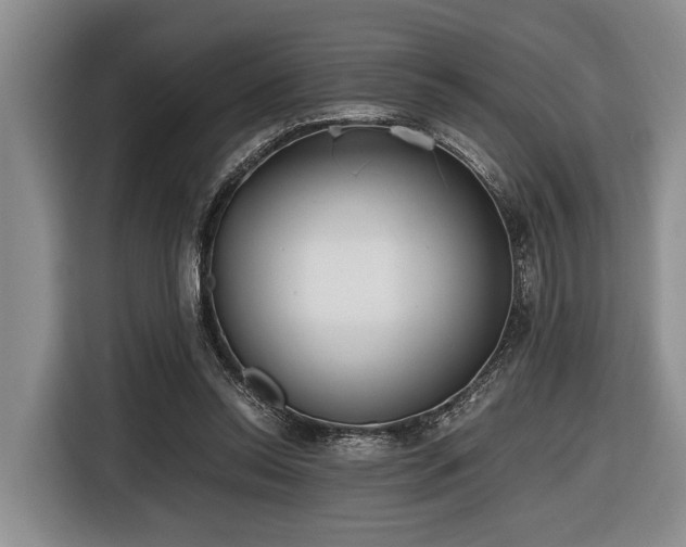 X0000116640350200912141240