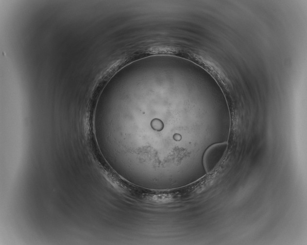 X0000116640353200912141240