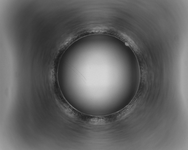 X0000116640354200912141240