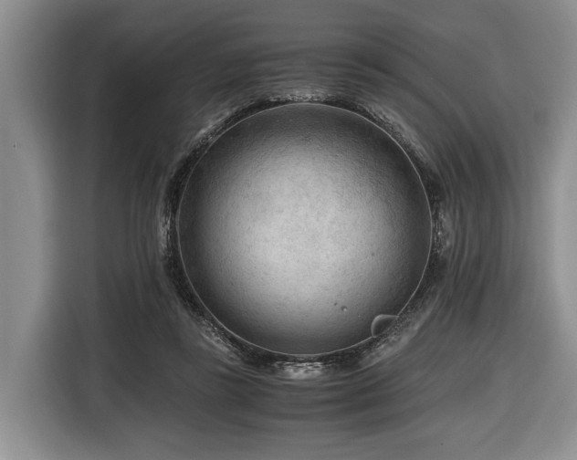 X0000116640355200912141240