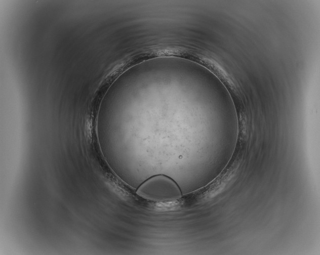 X0000116640357200912141240