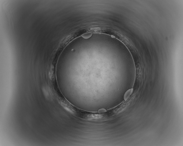 X0000116640361200912141240