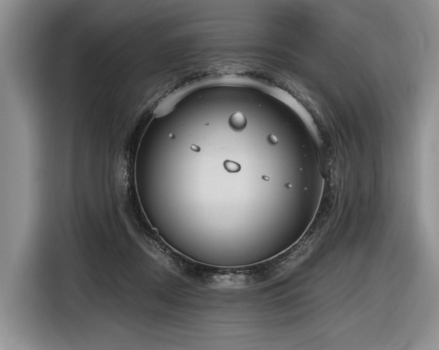 X0000116640362200912141240