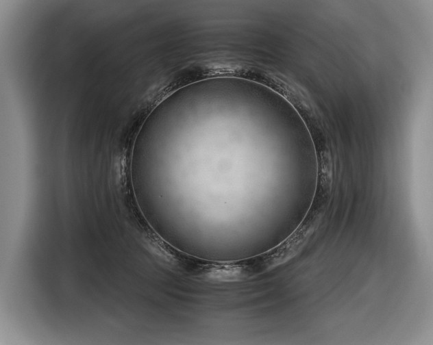 X0000116640369200912141240