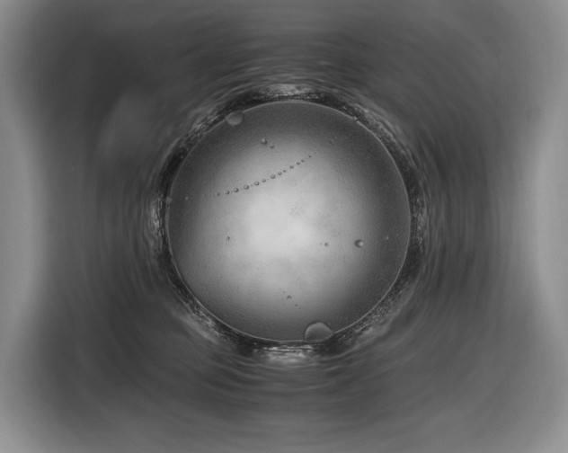 X0000116640373200912141240