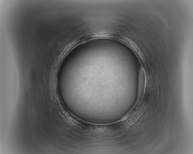 X0000116640385200912141240