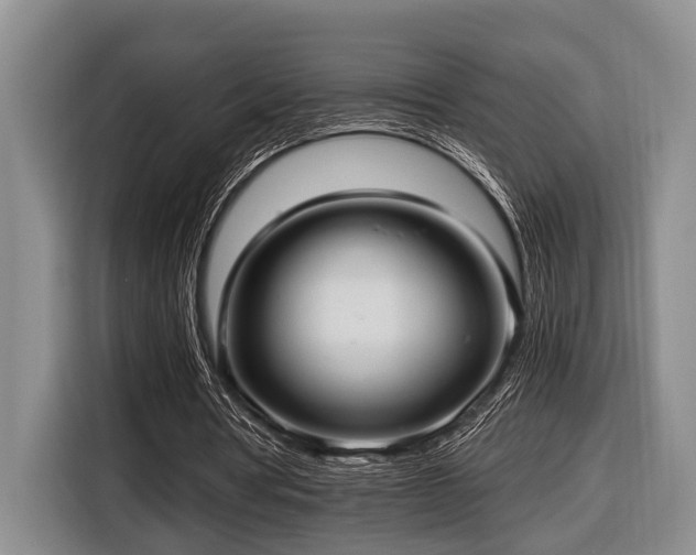 X0000116640386200912141240