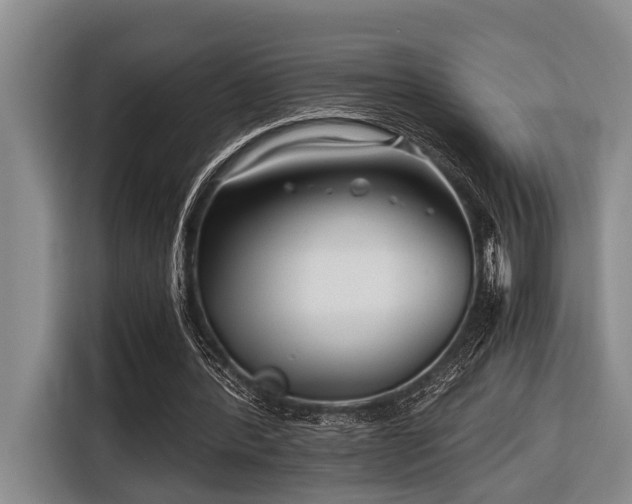 X0000116640388200912141240