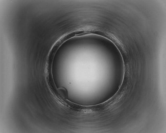 X0000116640392200912141239