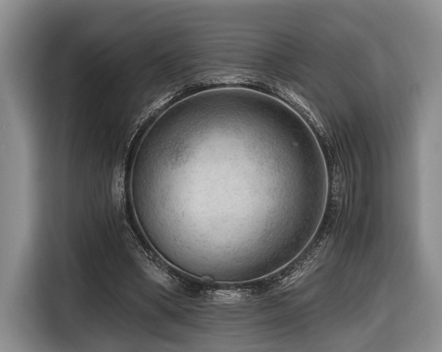 X0000116640394200912141239