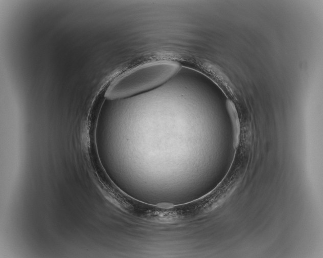 X0000116640395200912141239